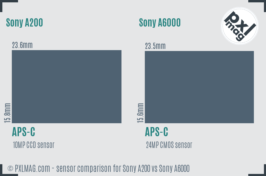 Sony A200 vs Sony A6000 sensor size comparison Sony A200 vs Sony A6000 sensor size comparison