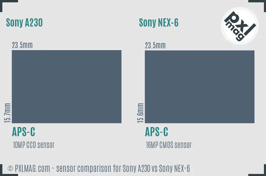 Sony A230 vs Sony NEX-6 sensor size comparison