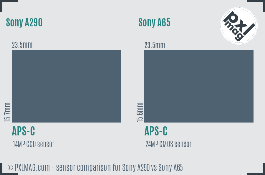 Sony A290 vs Sony A65 sensor size comparison