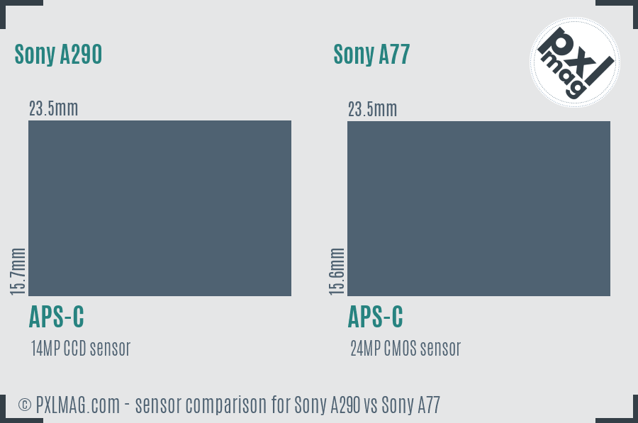 Sony A290 vs Sony A77 sensor size comparison