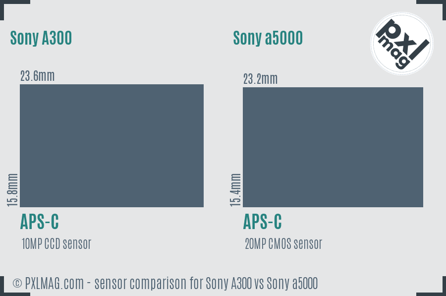 Sony A300 vs Sony a5000 sensor size comparison Sony A300 vs Sony a5000 sensor size comparison