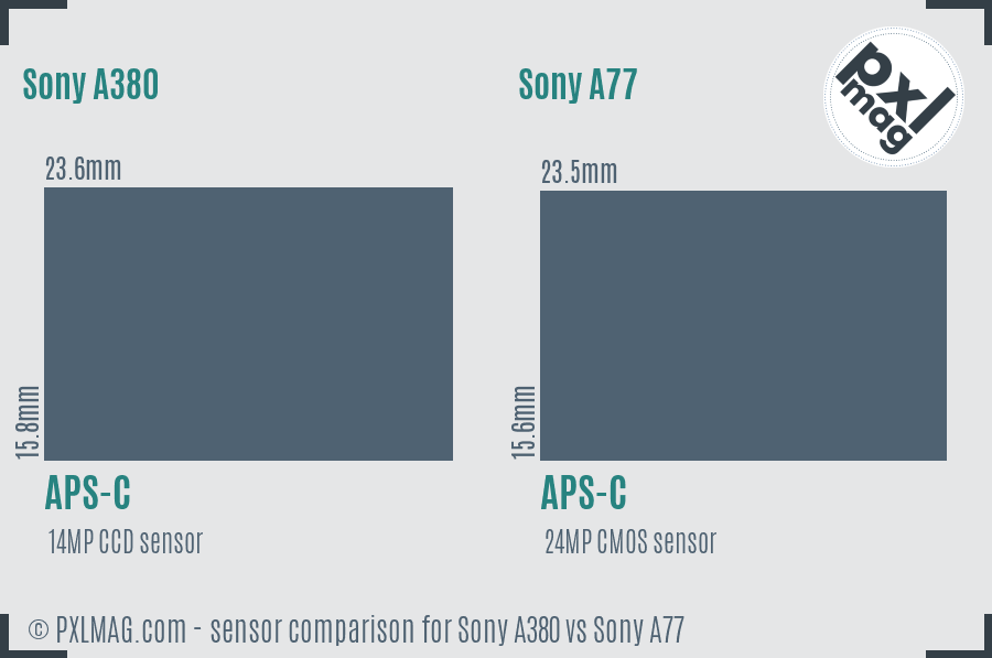 Sony A380 vs Sony A77 sensor size comparison