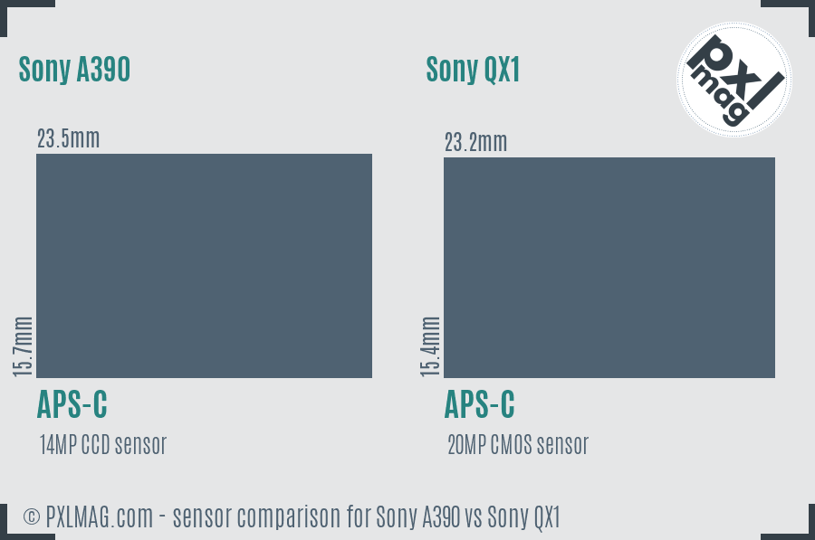 Sony A390 vs Sony QX1 sensor size comparison