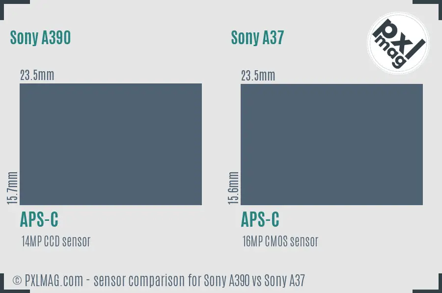Sony A390 vs Sony A37 sensor size comparison