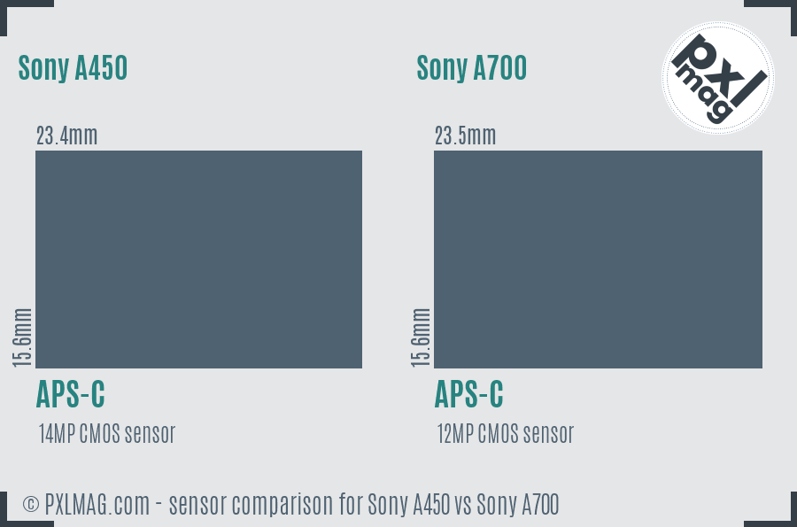 Sony A450 vs Sony A700 sensor size comparison