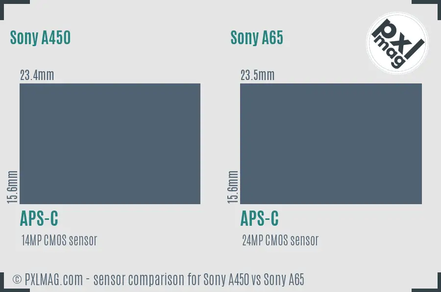 Sony A450 vs Sony A65 sensor size comparison