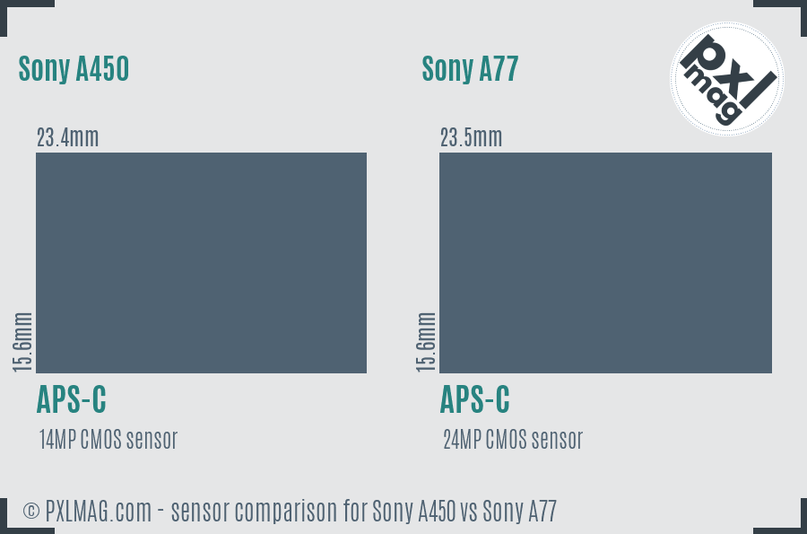 Sony A450 vs Sony A77 sensor size comparison