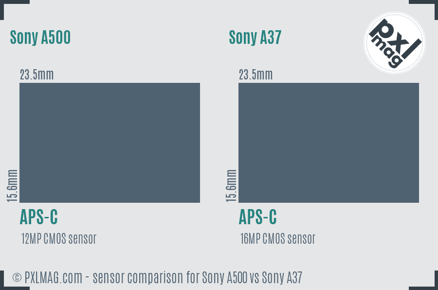 Sony A500 vs Sony A37 sensor size comparison