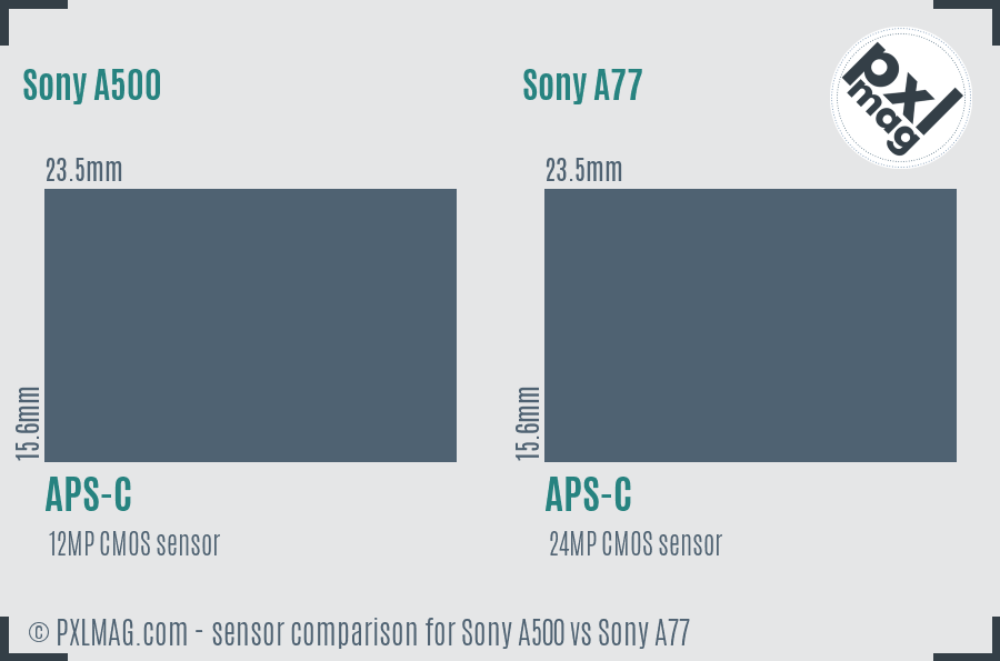 Sony A500 vs Sony A77 sensor size comparison