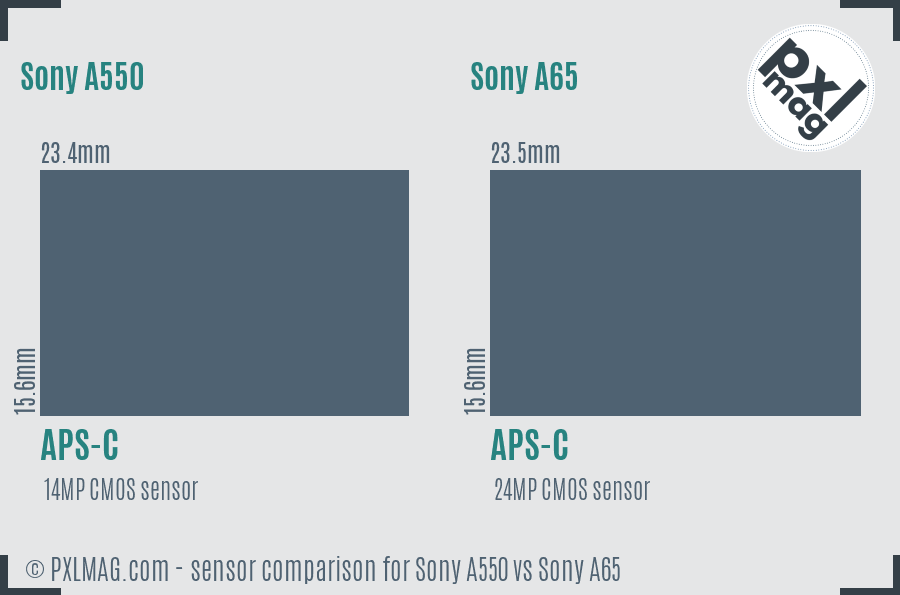 Sony A550 vs Sony A65 sensor size comparison