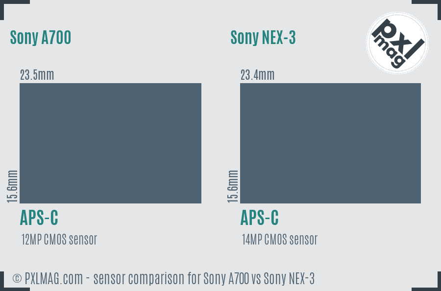 Sony A700 vs Sony NEX-3 sensor size comparison