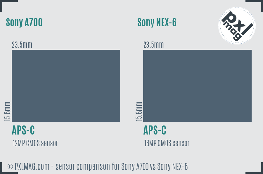 Sony A700 vs Sony NEX-6 sensor size comparison