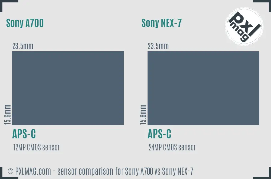 Sony A700 vs Sony NEX-7 sensor size comparison
