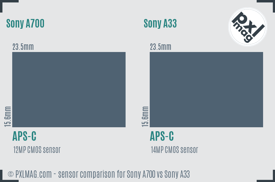 Sony A700 vs Sony A33 sensor size comparison