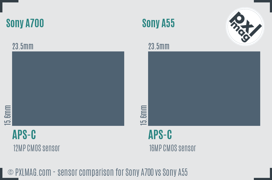 Sony A700 vs Sony A55 sensor size comparison