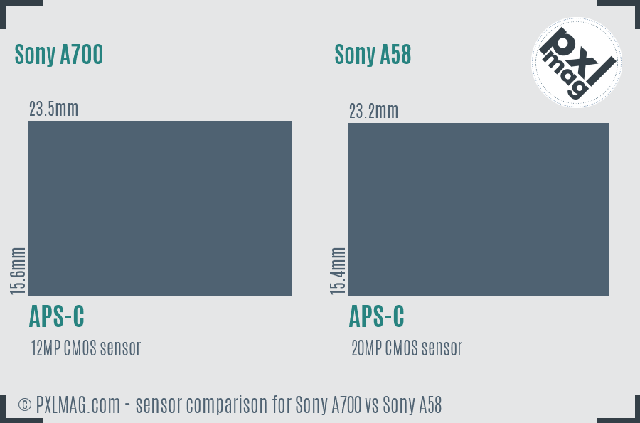 Sony A700 vs Sony A58 sensor size comparison