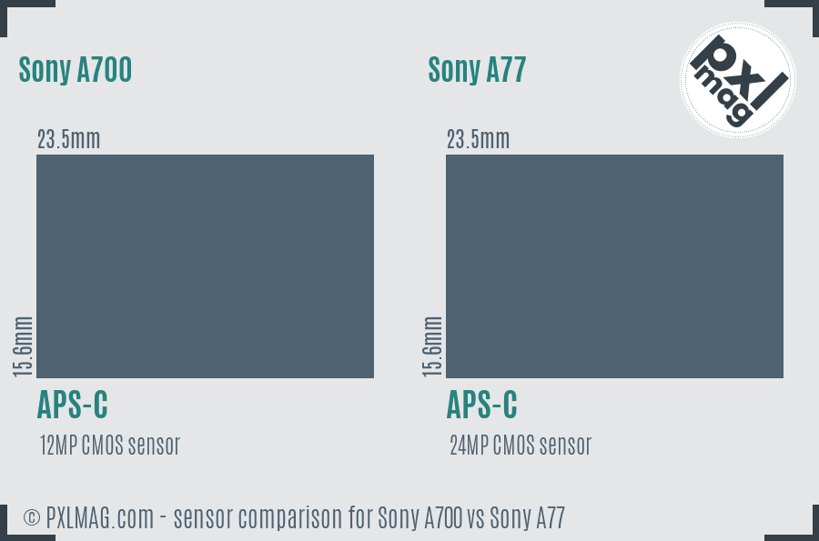 Sony A700 vs Sony A77 sensor size comparison