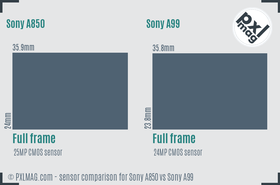 Sony A850 vs Sony A99 sensor size comparison