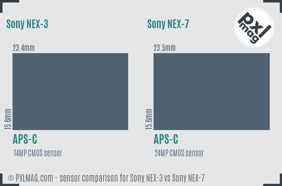 Sony NEX-3 vs Sony NEX-7 sensor size comparison