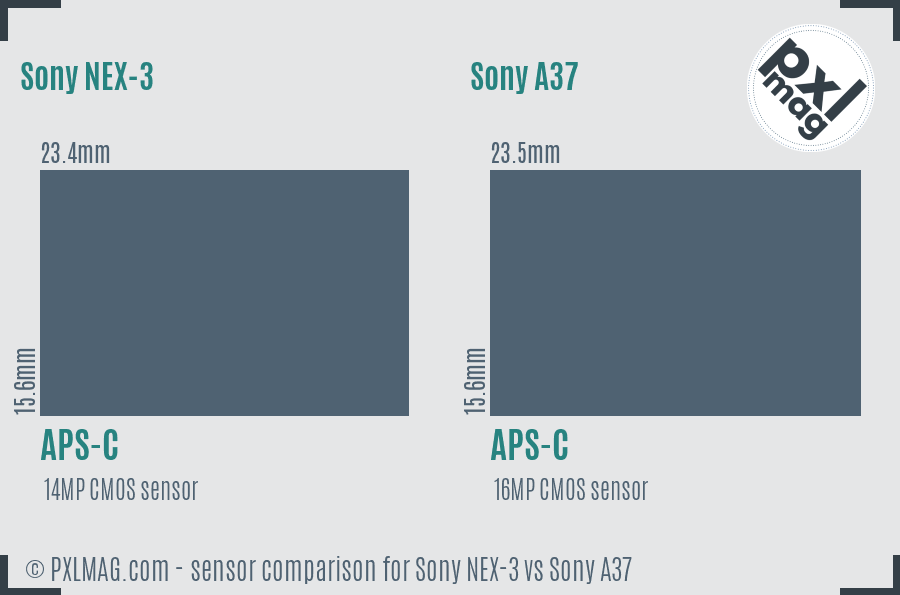 Sony NEX-3 vs Sony A37 sensor size comparison