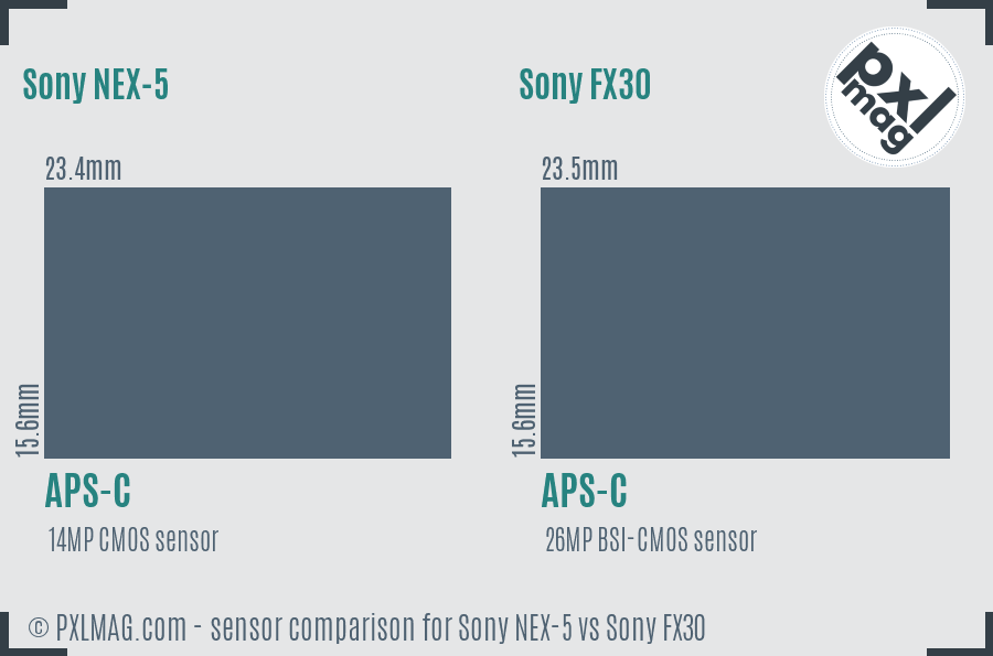 Sony NEX-5 vs Sony FX30 sensor size comparison