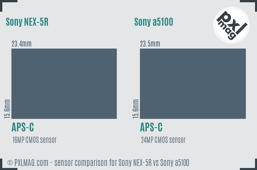 Sony NEX-5R vs Sony a5100 sensor size comparison