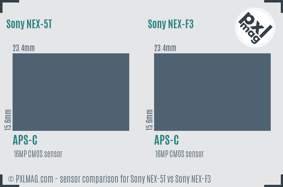 Sony NEX-5T vs Sony NEX-F3 sensor size comparison