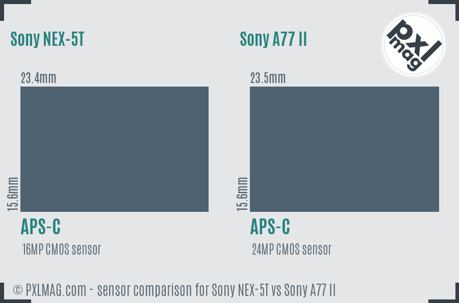Sony NEX-5T vs Sony A77 II sensor size comparison