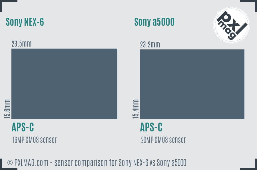 Sony NEX-6 vs Sony a5000 sensor size comparison