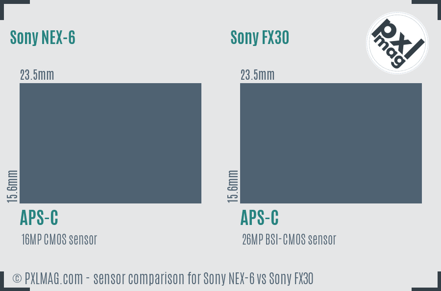 Sony NEX-6 vs Sony FX30 sensor size comparison
