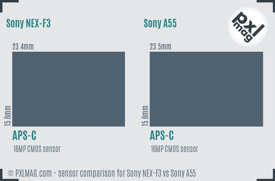 Sony NEX-F3 vs Sony A55 sensor size comparison