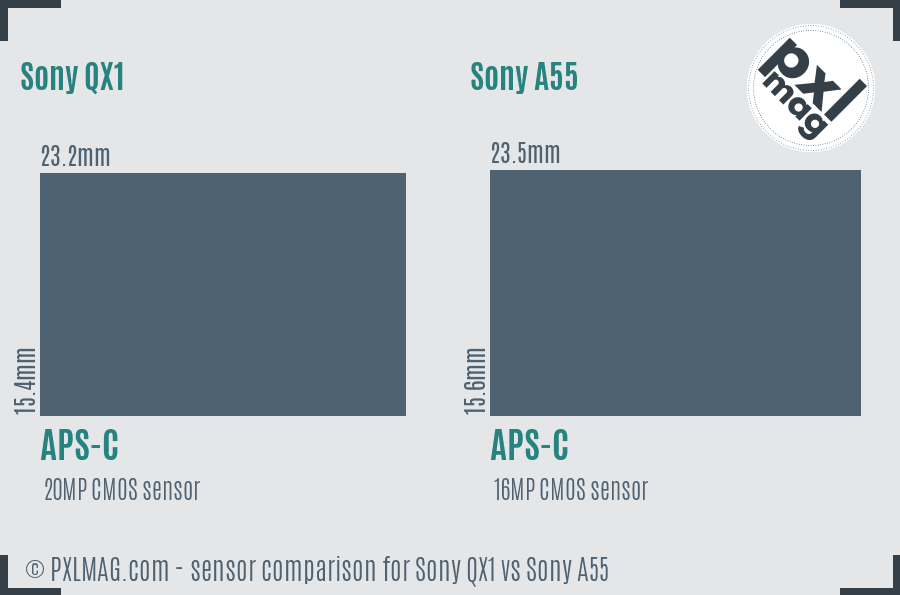 Sony QX1 vs Sony A55 sensor size comparison
