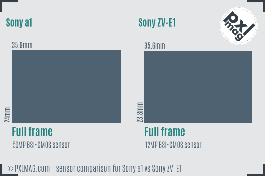 Sony a1 vs Sony ZV-E1 sensor size comparison Sony a1 vs Sony ZV-E1 sensor size comparison