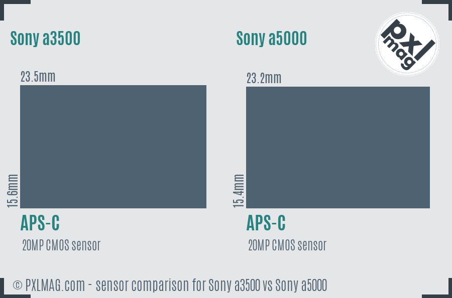 Sony a3500 vs Sony a5000 sensor size comparison
