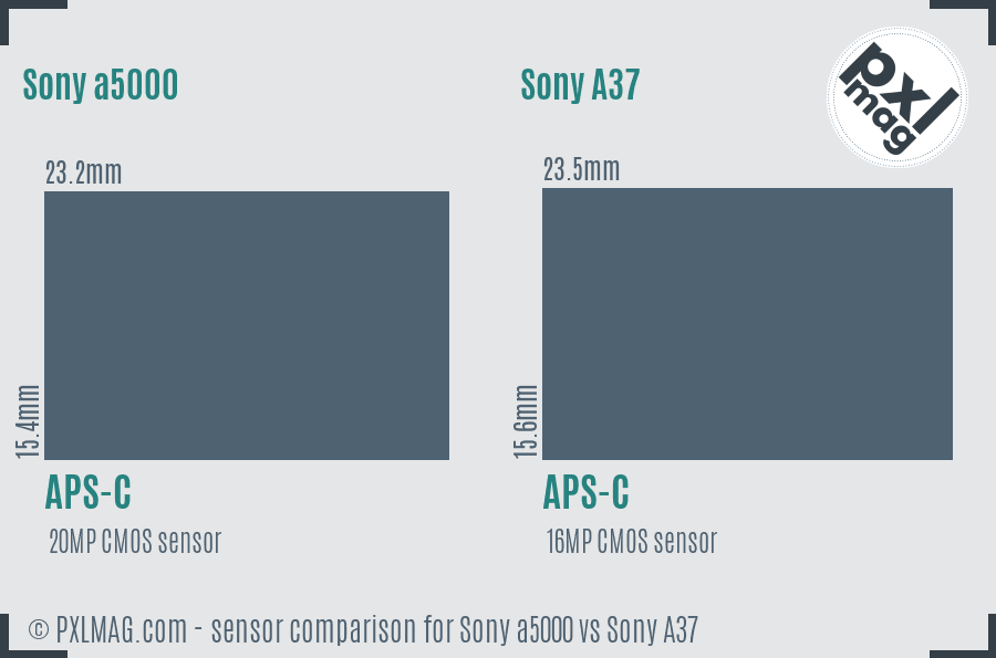 Sony a5000 vs Sony A37 sensor size comparison