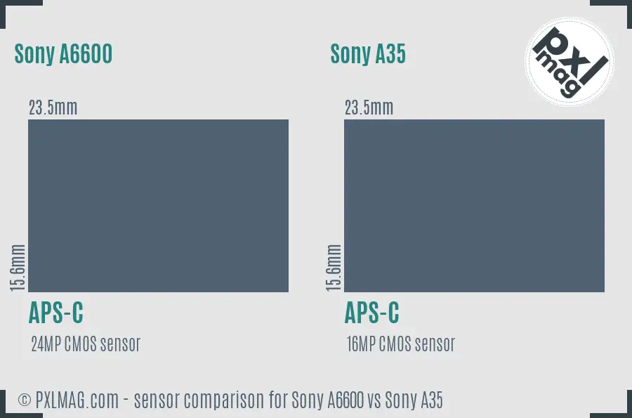 Sony A6600 vs Sony A35 sensor size comparison