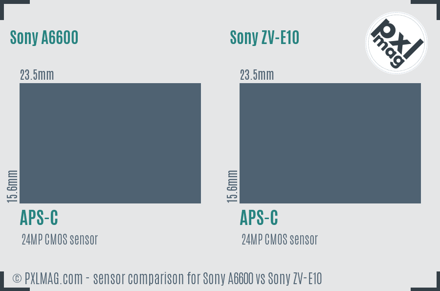 Sony A6600 vs Sony ZV-E10 sensor size comparison