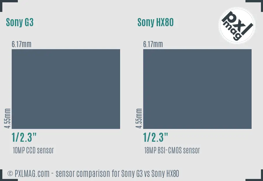 Sony G3 vs Sony HX80 sensor size comparison