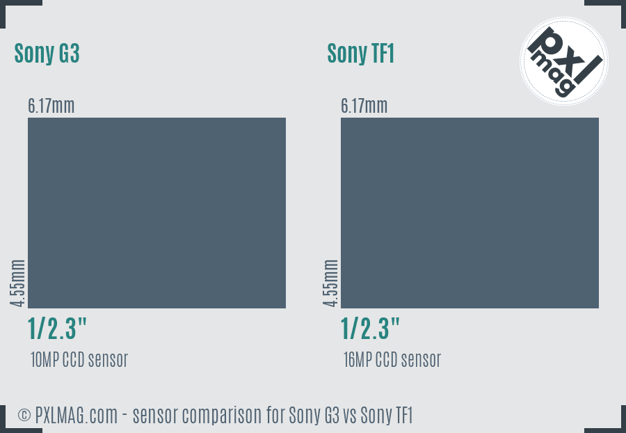 Sony G3 vs Sony TF1 sensor size comparison