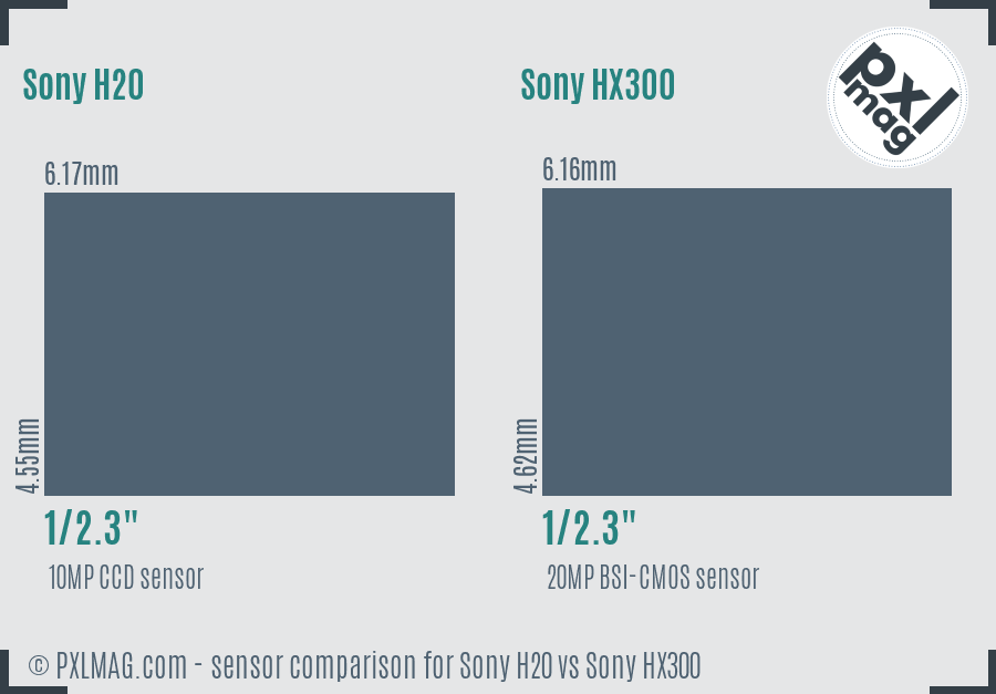 Sony H20 vs Sony HX300 sensor size comparison