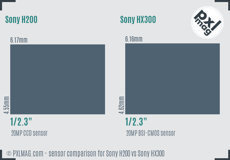 Sony H200 vs Sony HX300 sensor size comparison