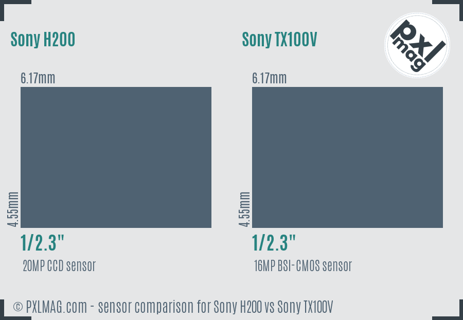 Sony H200 vs Sony TX100V sensor size comparison