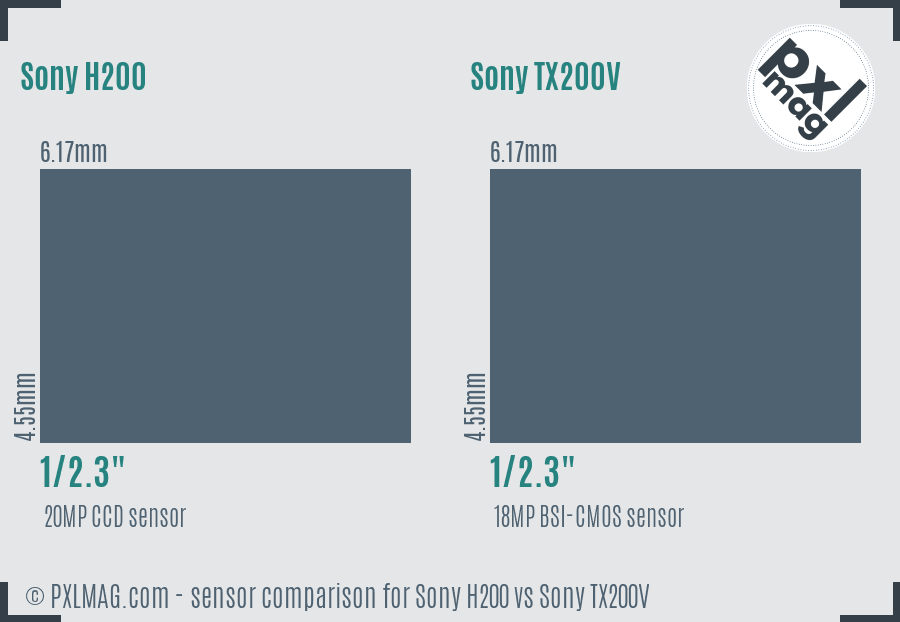 Sony H200 vs Sony TX200V sensor size comparison