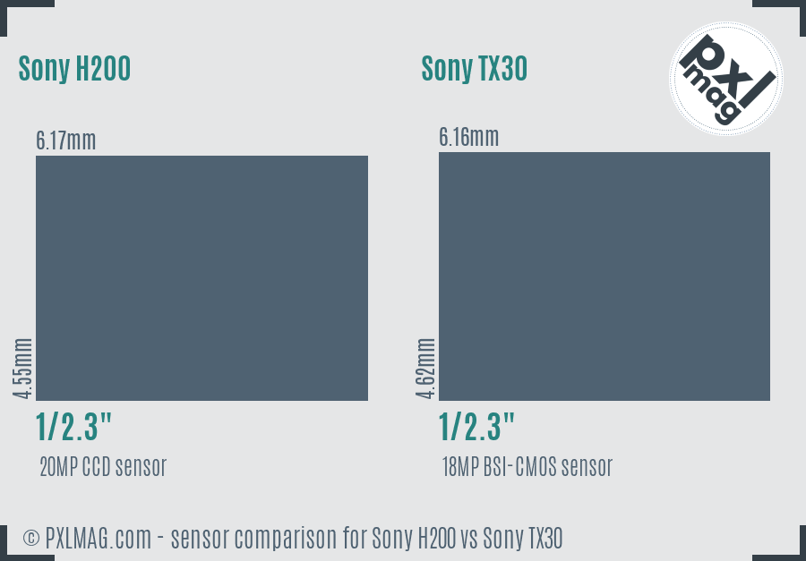 Sony H200 vs Sony TX30 sensor size comparison