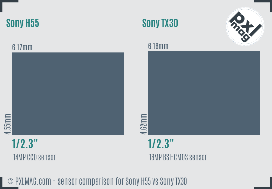 Sony H55 vs Sony TX30 sensor size comparison