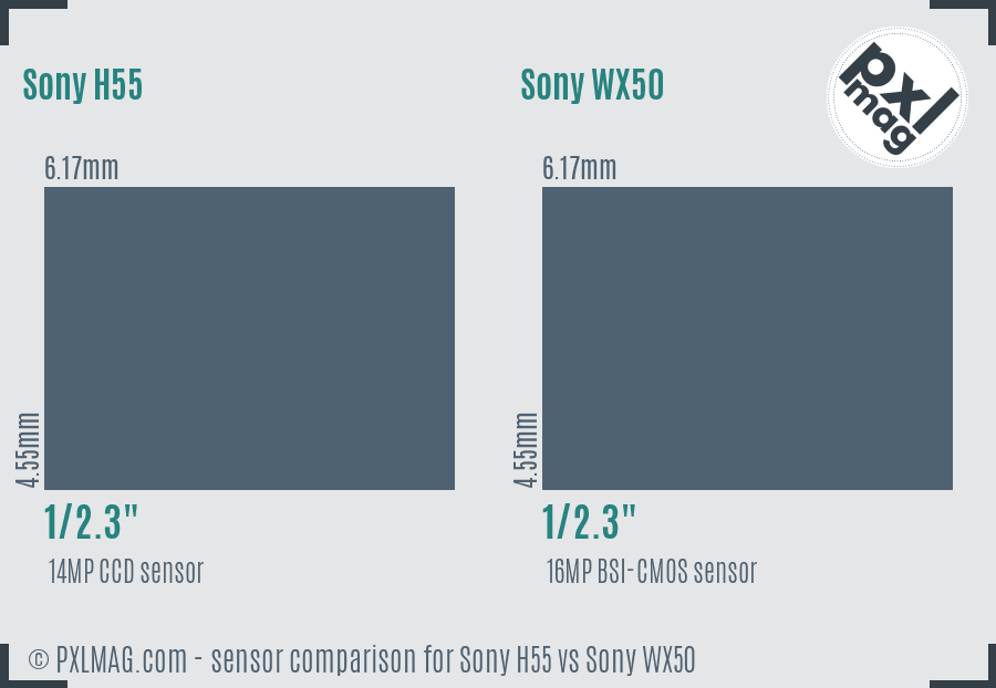Sony H55 vs Sony WX50 sensor size comparison