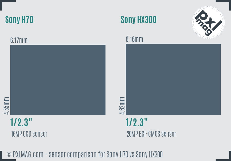 Sony H70 vs Sony HX300 sensor size comparison