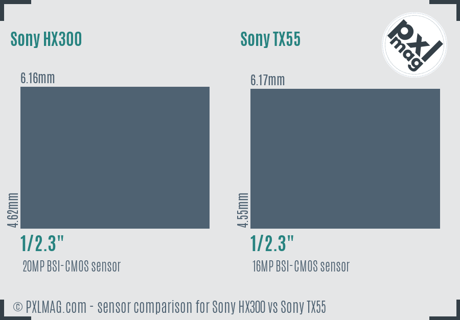 Sony HX300 vs Sony TX55 sensor size comparison