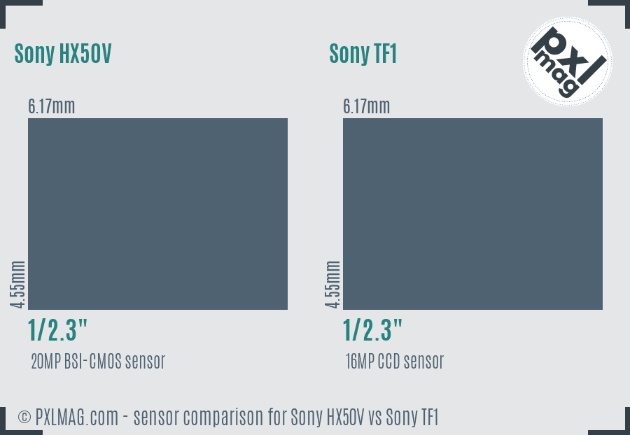 Sony HX50V vs Sony TF1 sensor size comparison