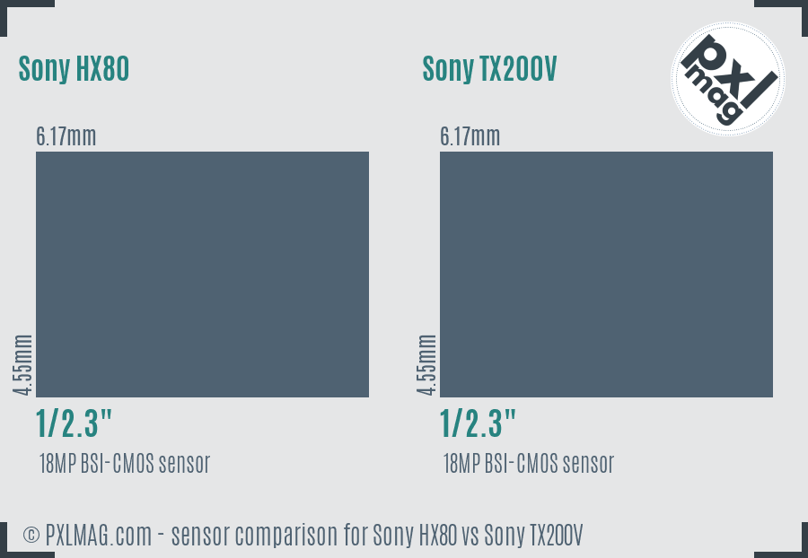 Sony HX80 vs Sony TX200V sensor size comparison